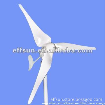 600W wind power system